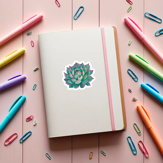 Sticker Planta Suculenta