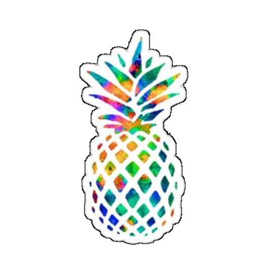 Sticker Ananas multicolor