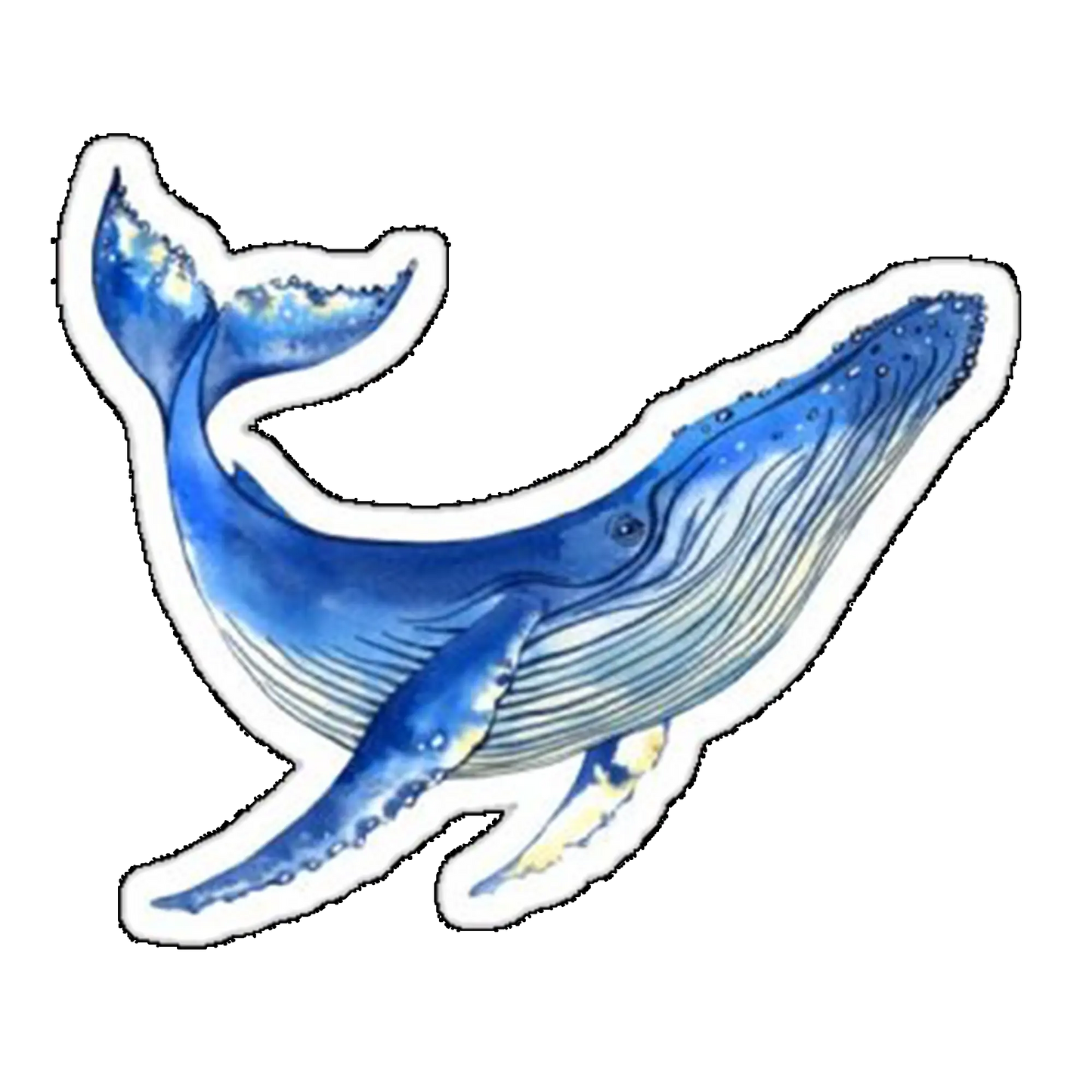 Sticker Balena Albastra