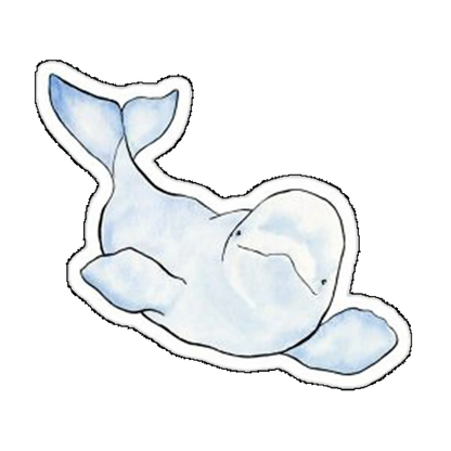Sticker Beluga