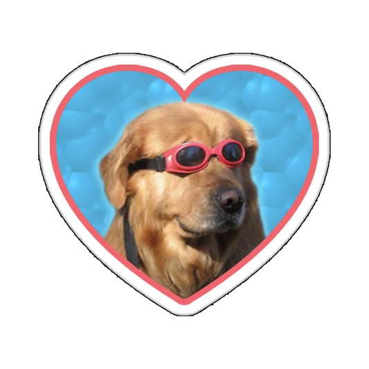 Sticker Caine la piscina