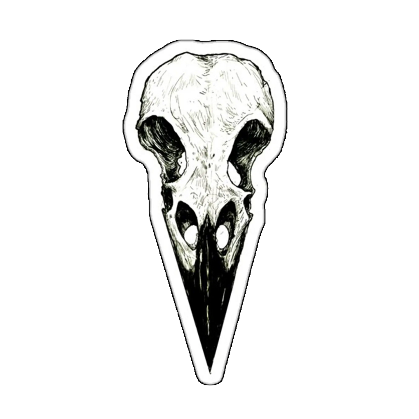 Sticker Craniu de pasare