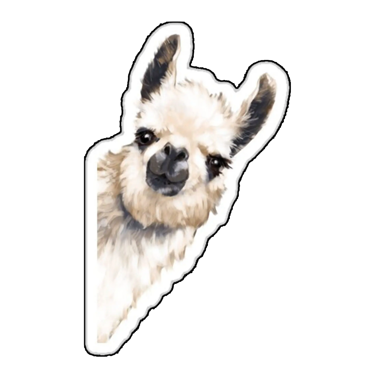 Sticker lama