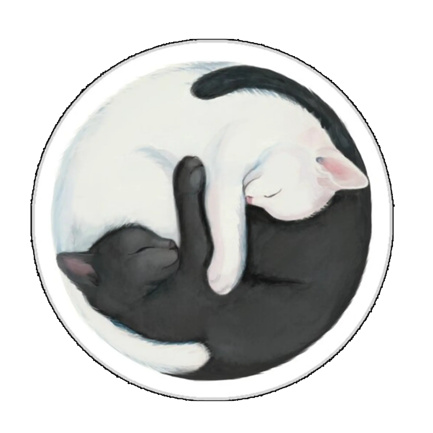 Sticker Pisici yin-yang