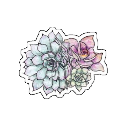 Sticker Plante suculente