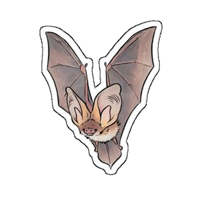 Sticker liliac