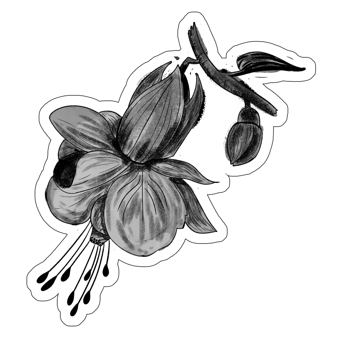 sticker Cercelus