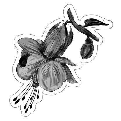 sticker Cercelus