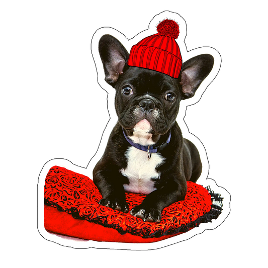 sticker My Pug Is My Valentine