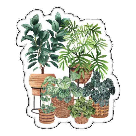 Sticker plante